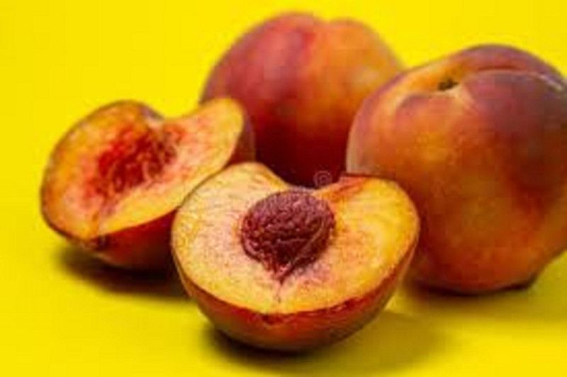 Sjeme ORGANIC PEACH SEED, AADU SEED, PEACH SEED, FRUIT PEACH SEED, AADU SEED FOR HOME PLANTING Seed  (3 per packet)