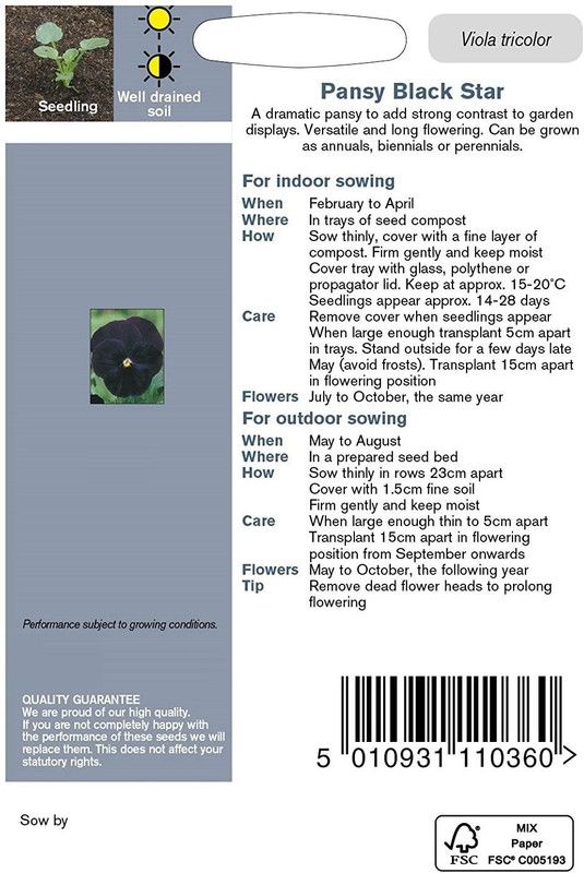CYBEXIS Pansy Black Star Seed  (50 per packet)