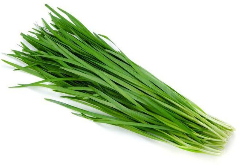 Axote Garlic Chives Seed  (10 per packet)