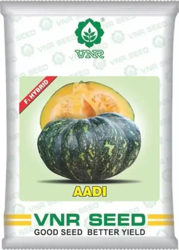 THAMMAR vnr aadi pumpkin seeds Seed (5 g) Seed  (10 per packet)
