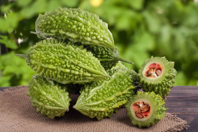 XOLDA Bittle gourd Seed  (33 per packet)