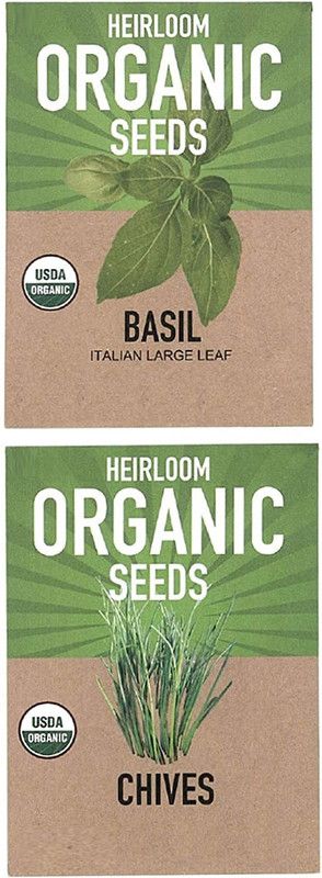 CYBEXIS Italian Large Leaf Basil,Garlic Chives Seed  (10 g)
