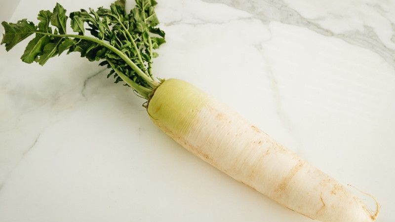 XOLDA Radish Seed  (35 per packet)