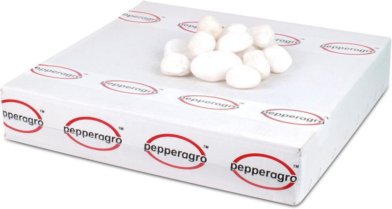Pepper Agro Pebbles Stones for Decoration / Garden / Table / Aquarium 30 to 40 mm Tumbled White Pebble, 1.9 Kg Regular Oval Rock Pebbles  (White 1.9 kg)