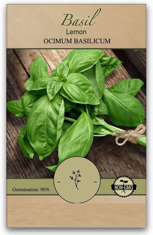 VibeX ® VMR-55 Lemon Basil Seeds Seed  (1000 per packet)