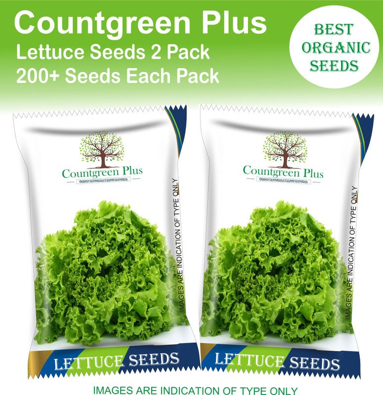 Countgreen Plus Lettuce Mixed Vegetable Seeds Seed  (200 per packet)