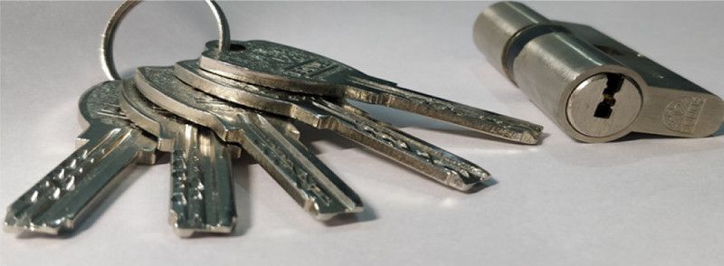 Bonus Brass Glossy Door levers  (Silver)