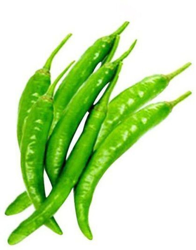 granthi Green Chilli (Hari Mirch) Seed  (1200 per packet)