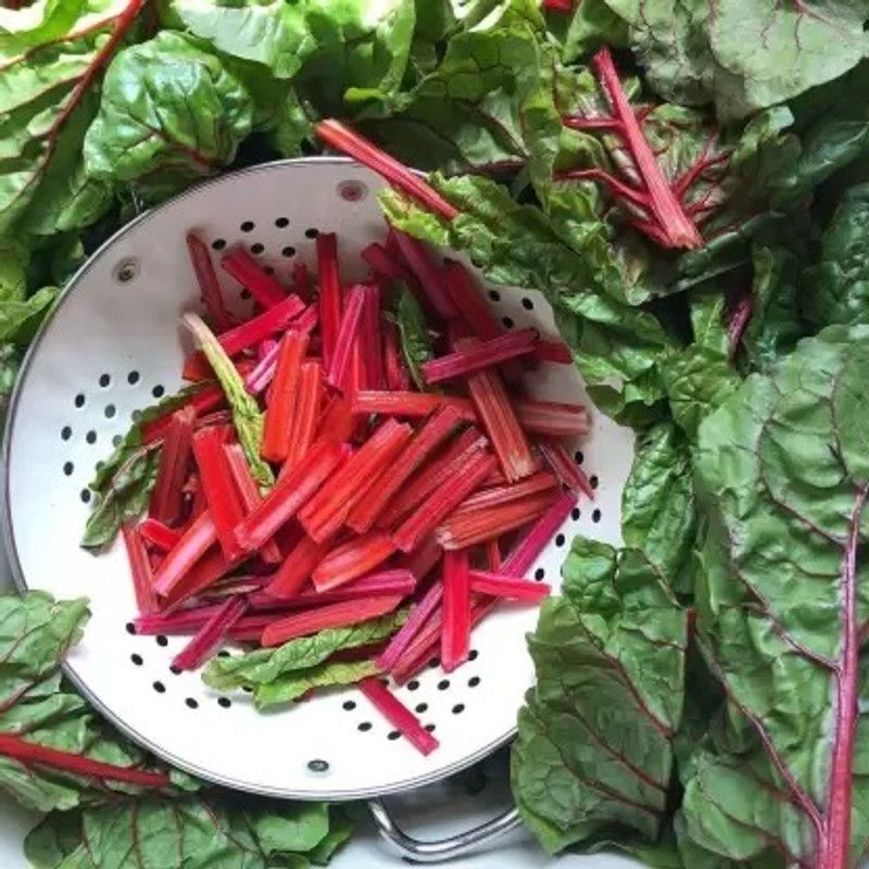 MAA Swiss Chard, Chard Seed  (22 per packet)