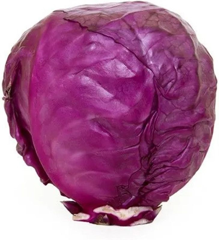 XOLDA Cabbage purple Vegetable Seed  (15 per packet)