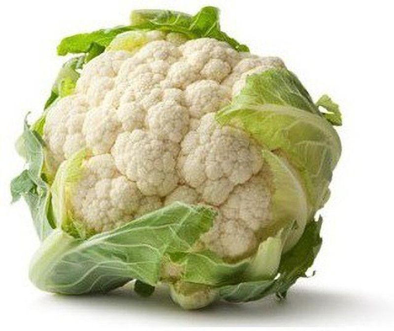 ANDOR फूल गोभी Cauliflower Phool Gobhee/Phul Gobhi Seed  (100 per packet)