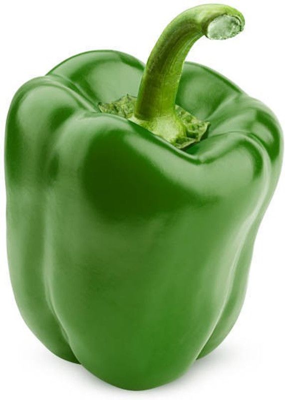 ZOTIKOS Capsicum Seed  (20 per packet)