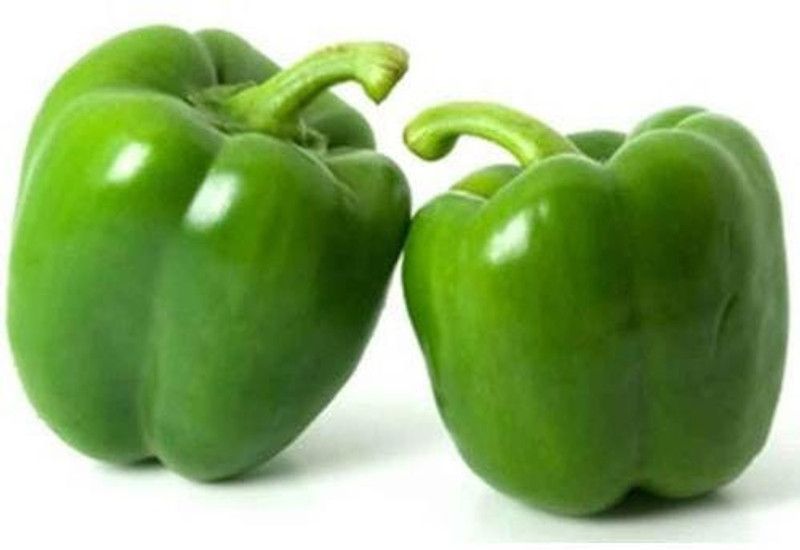 Nodoc Green Capsicum (shimla mirch) Seed  (35 per packet)