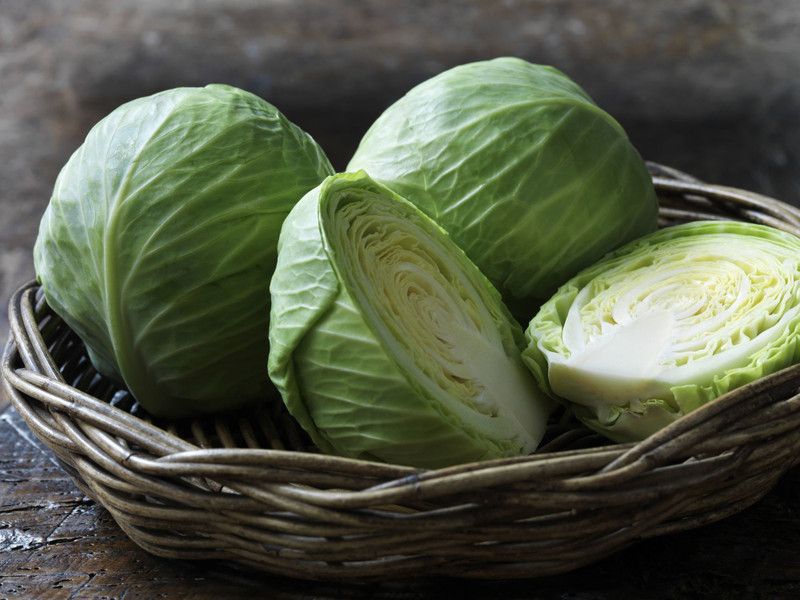 Mozette Cabbage Seed  (41 per packet)