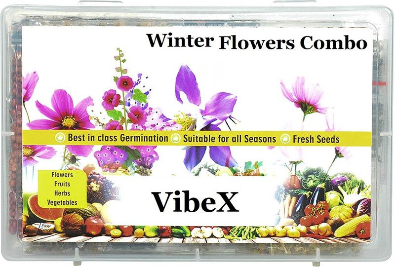 VibeX VXI-29-20-Varieties-Winter Flower Combo Seed  (700 per packet)