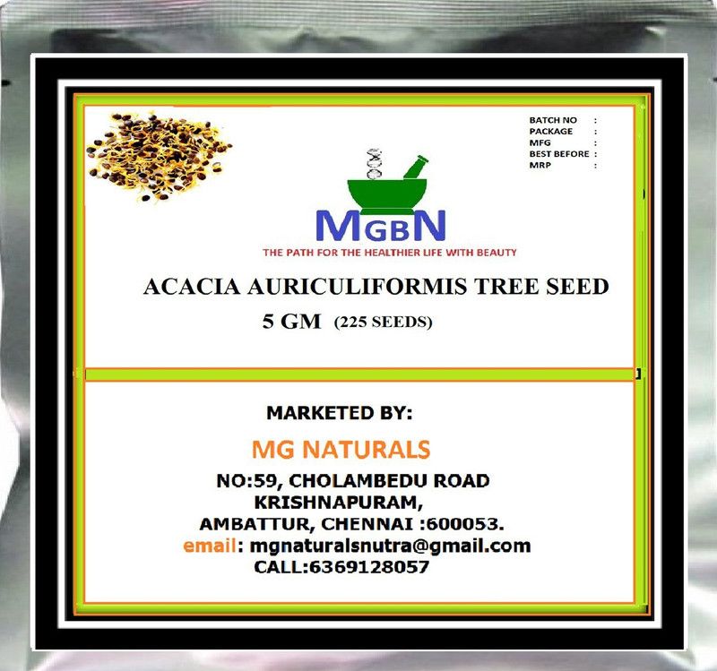 MGBN ACACIA AURICULIFORMIS TREE SEED 5 GM Seed  (220 per packet)