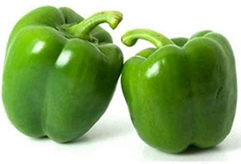 Arlo Green capsicum Seed  (30 per packet)
