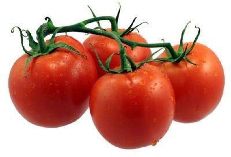 KANAYA Italian Red Cherry Tomato Vegetable Seed  (150 per packet)