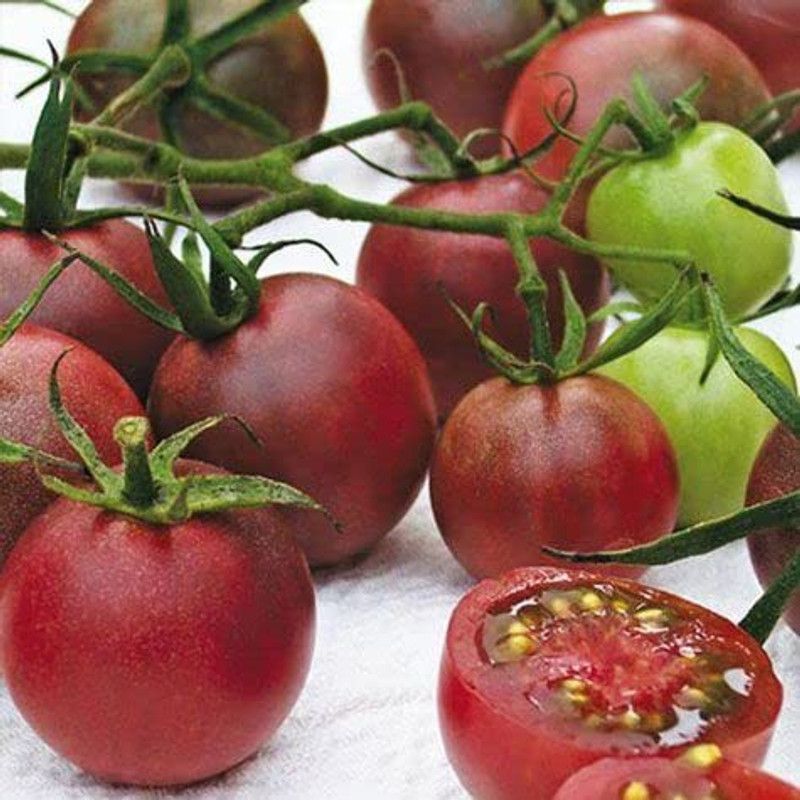 KANAYA Black Tamatar Seed  (250 per packet)