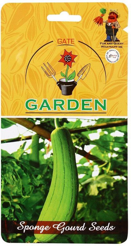 CYBEXIS Sponge Gourd Improved Seed Combo800 Seeds Seed  (800 per packet)