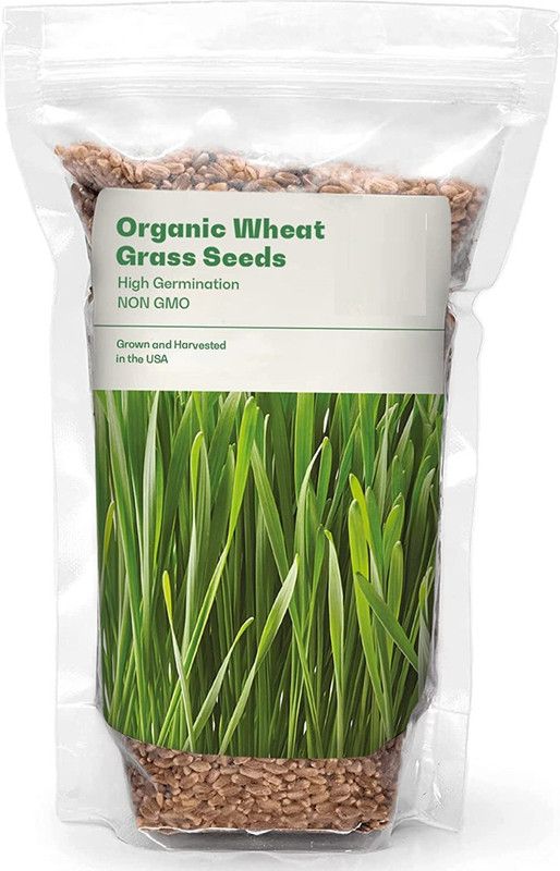 CYBEXIS HUA-82 - Cat Grass Hard Red Winter Wheat - (22500 Seeds) Seed  (22500 per packet)