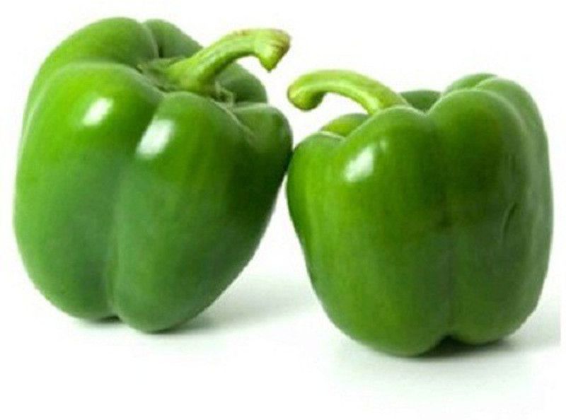 bio blooms Gardening Green Capsicum Seeds 1 Pack Bio_58 Seed  (15 per packet)
