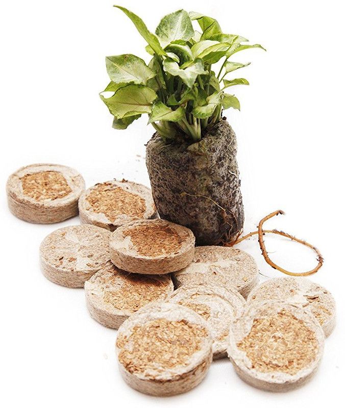 bio blooms Coir Seedling Coins cocopeat disc, 42 mm Plant Starter Plugs 60 pcs Bio_18FB Manure  (52 g, Cake)