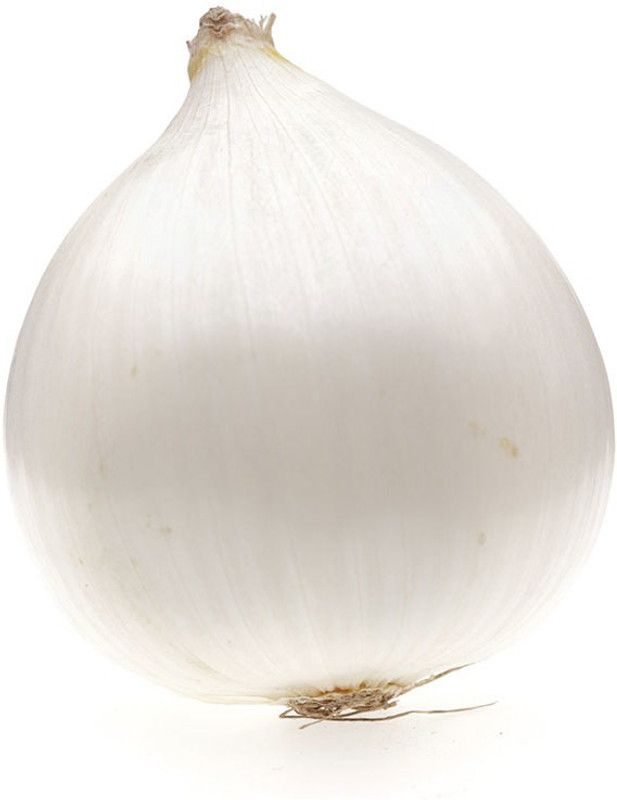 XOLDA Hybrid Onion White Seed  (54 per packet)