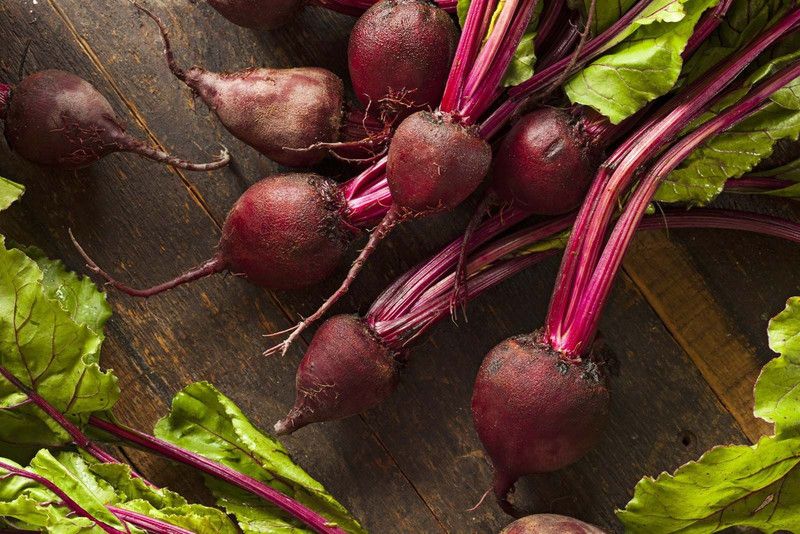 Mozette Beetroot plant Seed  (42 per packet)