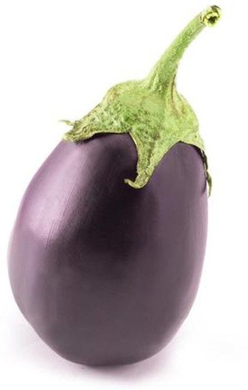 Nodoc Brinjal Seed  (75 per packet)