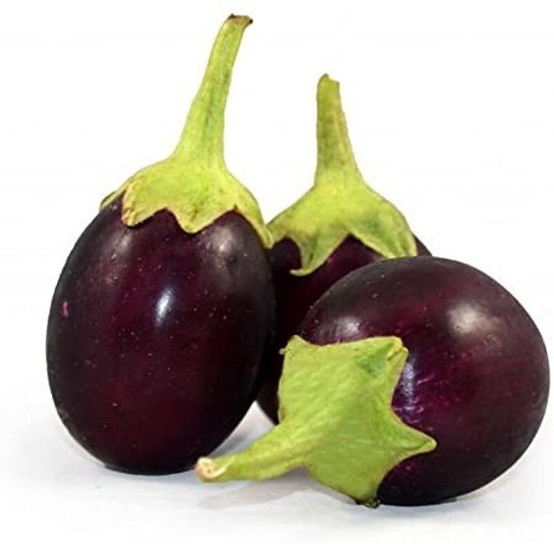 Advance seeds Chu chu brinjalseeds,seeds,vegetbleseeds Seed  (50 per packet)