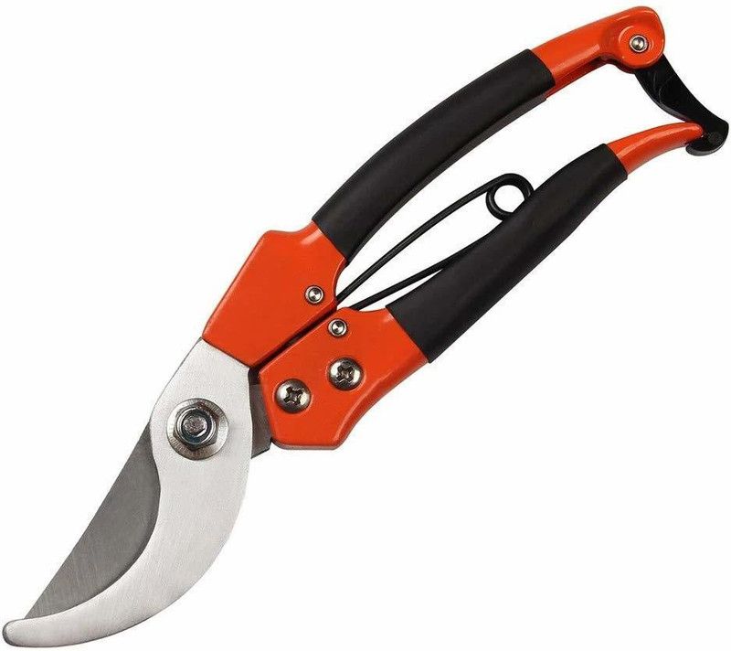 TOPHAVEN Garden Shears Pruners Scissor, Pruning Seeds Pruning Shear/Gardening Scissor/Flower and Leaf Cutter for Potted Plants. Bypass Pruner  (Manual)