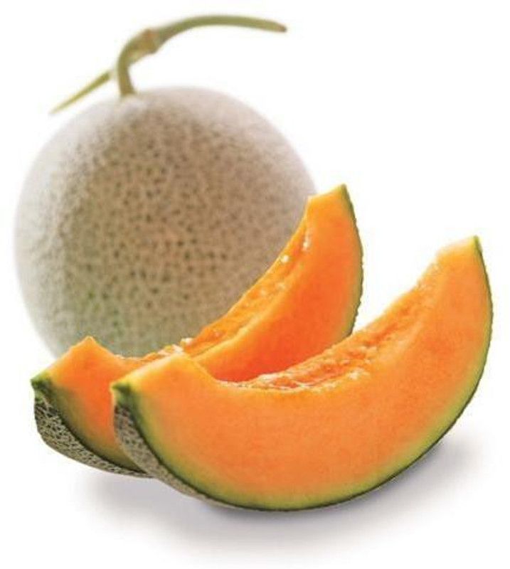 Paudha Muskmelon Hybrid Imported Seed  (45 per packet)