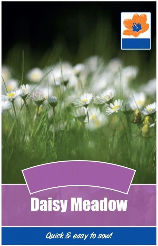 CYBEXIS Daisy Meadow Seeds Seed  (1 g)