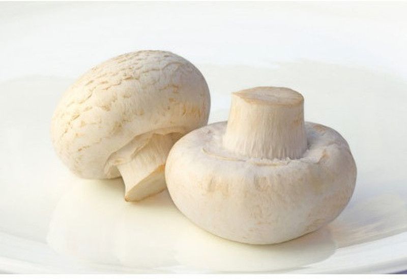 rmd Mushroom Herb Seed  (40 per packet)