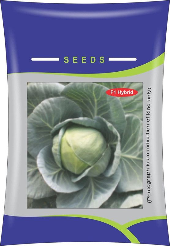 Qualtivate ® F1 Hybrid Cabbage Frontier Seeds Seed  (250 per packet)