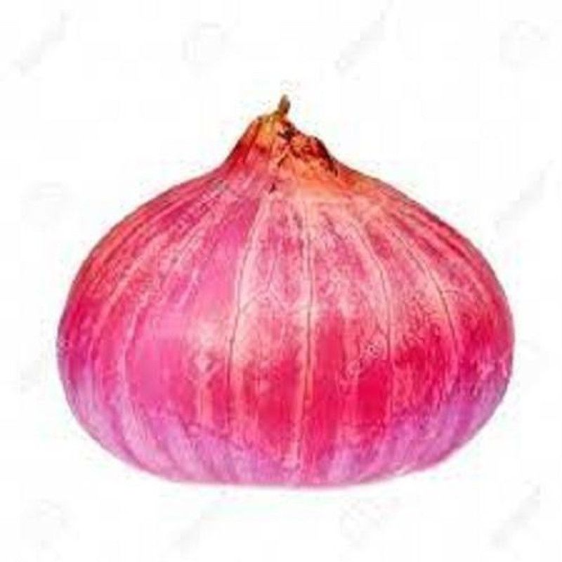 The Entacloo Common Desi Onion Seeds- 95 Seed  (95 per packet)