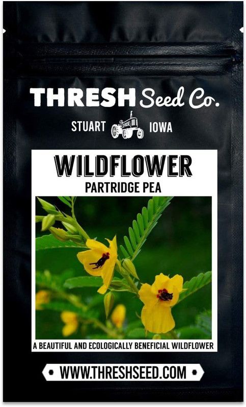 VibeX ® VMR-681 Partridge Pea Seeds Seed  (50 per packet)