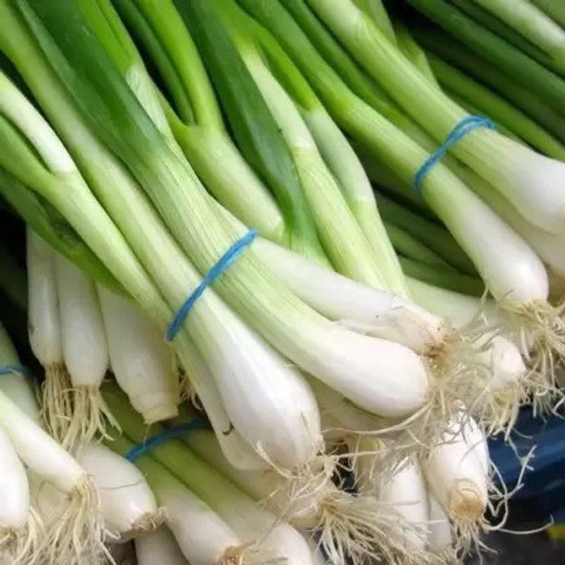 Chalisa White Onion Seed  (125 per packet)