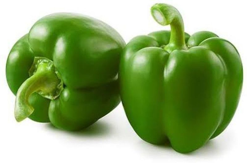 Paudha Green Capsicum (shimla mirch) Seed  (45 per packet)