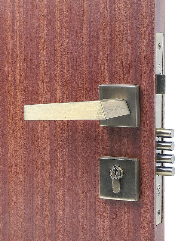 Saze Stainless Steel Matte Door levers  (Gold)