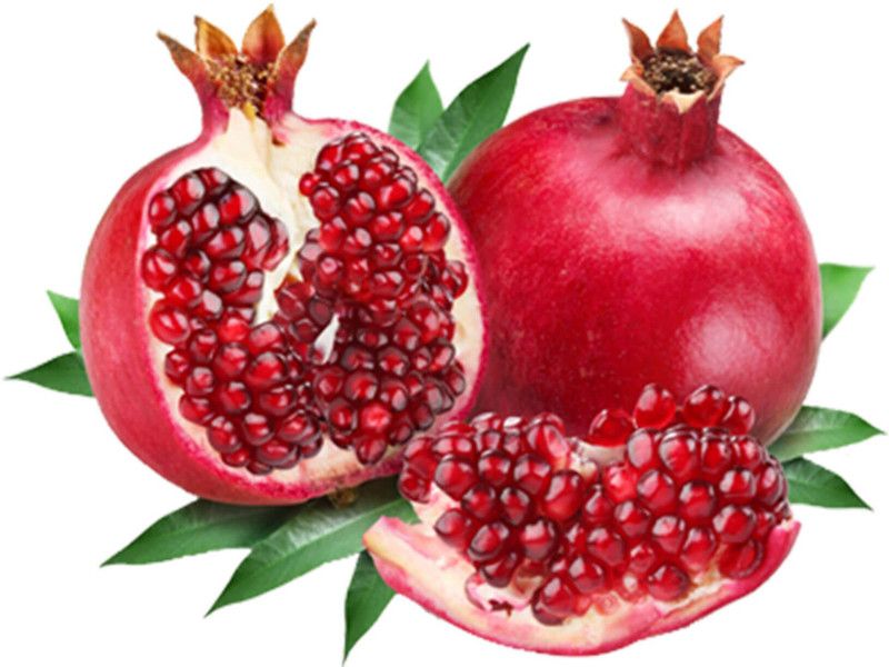 XOLDA Pomegranate (anaar) Seed  (17 per packet)