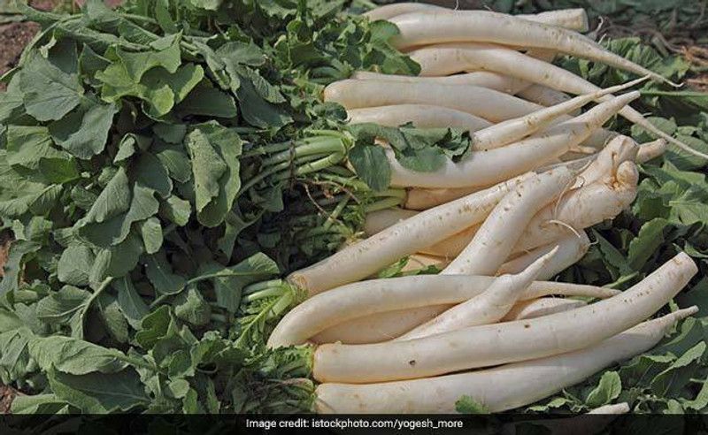 XOLDA Radish Seed  (33 per packet)