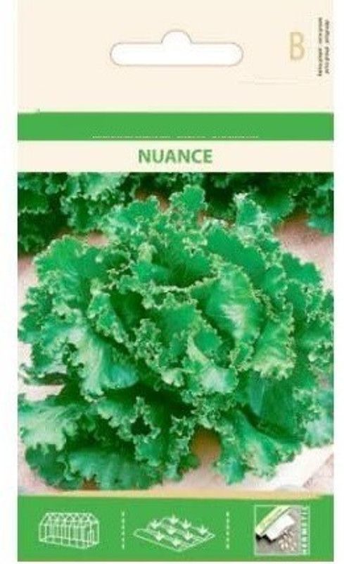 Qualtivate ™ Endive Nuance Seeds Seed  (500 per packet)