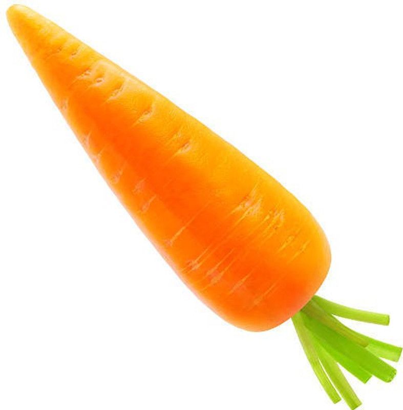 Zomoloco Carrot Seed  (50 per packet)