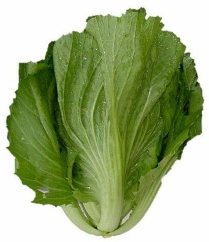 PMB Organic mustard leaves Seed  (38 per packet)
