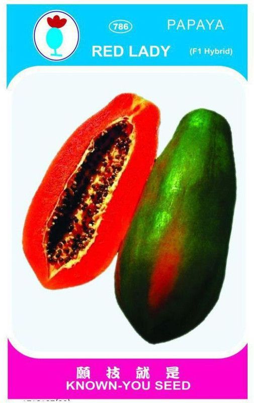 Go Green red lady papaya hybrid seeds Seed  (300 per packet)