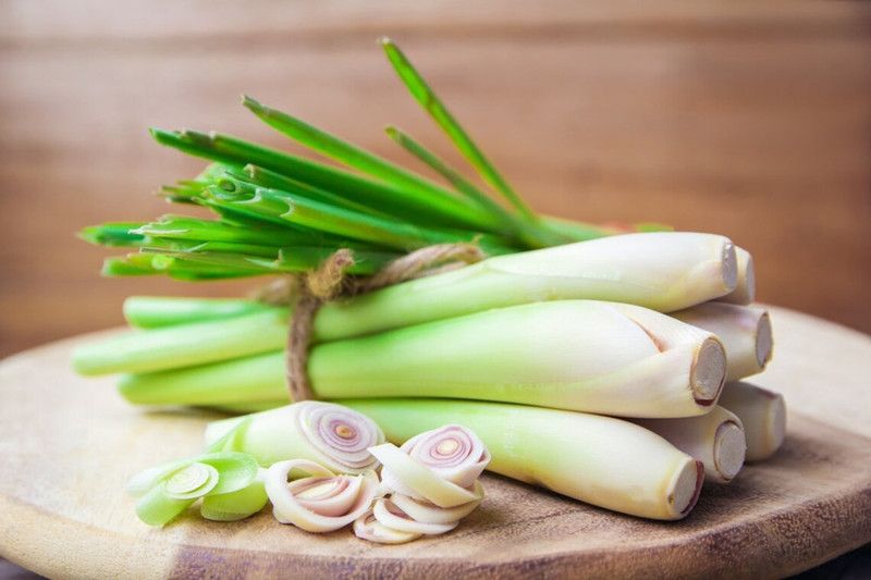 XYGEN (Cymbopogon/lemongrass) नींबू घास Herb Plant Seed  (300 per packet)