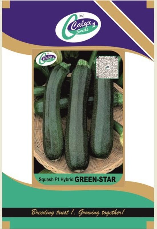 CALYXSEEDS : GREEN STAR, F1 HYBRID SQUASH, HYBRID ZUCCINI, HYBRID GRAAN LONG SQUASH Seed  (10 g)