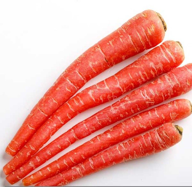 XOLDA Carrot Red Seed  (37 per packet)